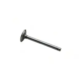 1750070V1 Massey Ferguson Впускний клапан