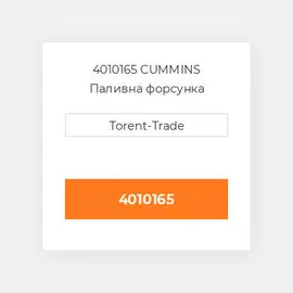 4010165 CUMMINS Паливна форсунка