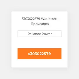 S303022579 Waukesha Прокладка