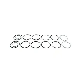 587810830 Oliver Набір кілець поршневих