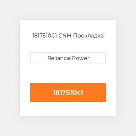 1817510C1 CNH Прокладка