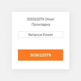 303022579 Oliver Прокладка