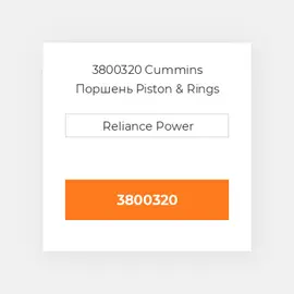 3800320 CUMMINS Поршень комплект PISTON CLIPS & RINGS