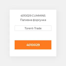 4010029 CUMMINS Паливна форсунка