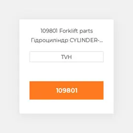 109801 Forklift parts Гідроциліндр CYLINDER- Brake Master