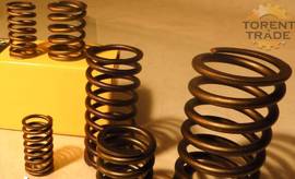 73049608 International пружина спиральна Valve Spring