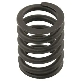 FD1FZ6513D CNH Пружина