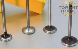 WAE76E Wisconsin Клапан головки блоку Intake Valve