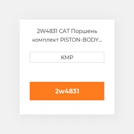 2W4831 CAT Поршень комплект PISTON-BODY C/W CLIPS