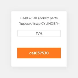 CA1037530 Forklift parts Гідроциліндр CYLINDER - Master